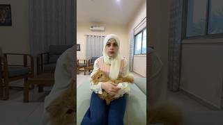 سيدة السيوف والطبيبة المعجزة فلم كوري😂😂 ام سيف ونانو