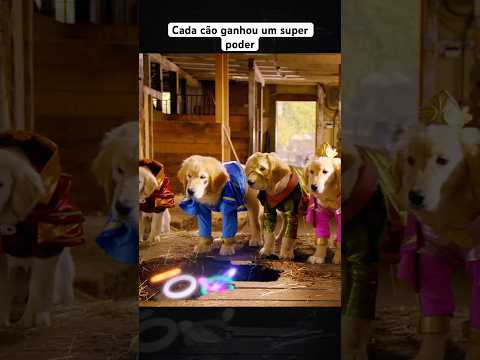Cada cão escolheu um anel com super poder