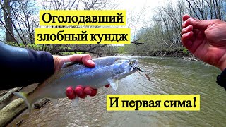 видео