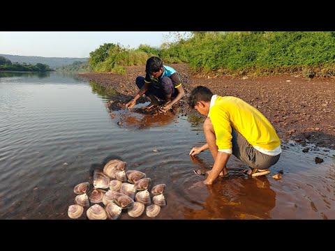 नदीमधले काळे मुळे काढायची मज्जा , कोकणातील शिंपल्या | Traditional kokan @TejaGurav