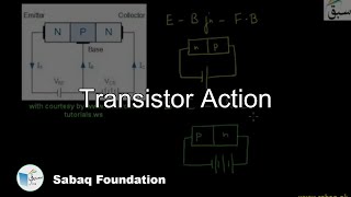 Problem- Current Flow in a n-p-n Transistor