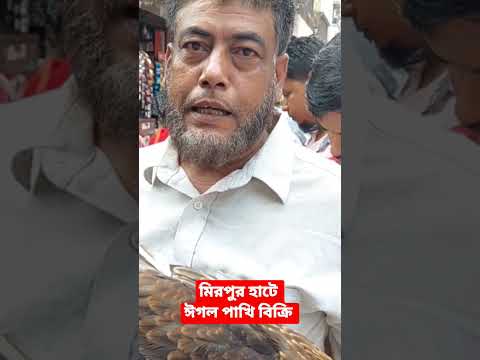 পোষা  ঈগল পাখি বিক্রি মিরপুর হাটে #shortvideo