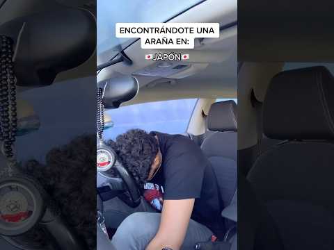 A Tatsuki Toriyama no le ha gustado el regalito 🕷️🕸️