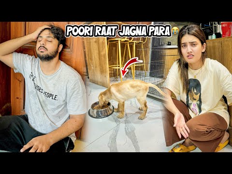 BROWINE NY SONA HARAM KER DEA 😭 | Puri Raat Jag K Guzari 😩