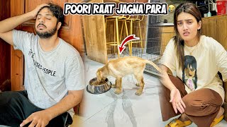 BROWINE NY SONA HARAM KER DEA 😭 | Puri Raat Jag K Guzari 😩