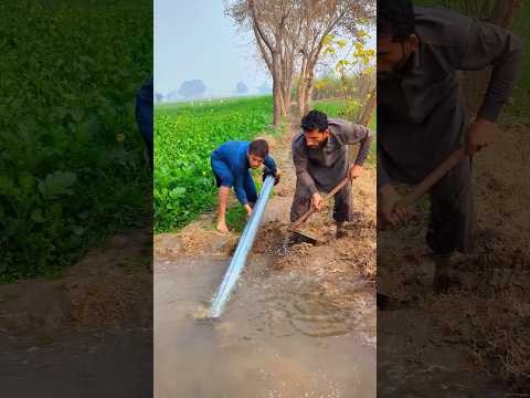 The water Men 😆 Wait end😂 #shorts #youtubeshorts #viralvideo #trending #funny