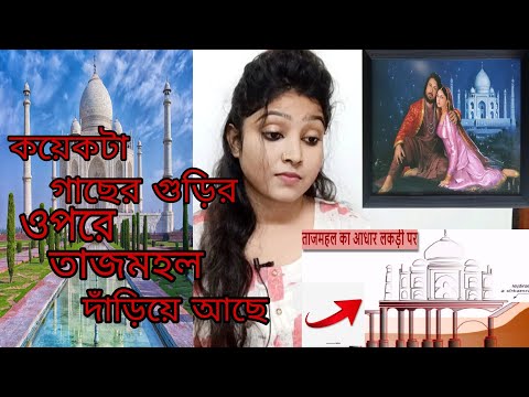 শুধুমাত্র কয়েকটা গাছের গুড়ির ওপরে তাজমহল দাঁড়িয়ে আছে😲🤔|Reaction by Moni|#tajmahal #mystery