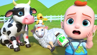Boo Boo Animals (Farm Version) | Leo Nursery Rhymes & Kids Songs