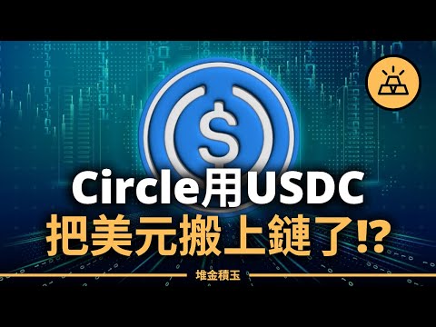 美元進入鏈上時代？Circle暴漲200%、引爆熔斷！這間公司，正在重寫美元的未來？