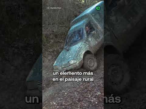 CITROEN C15