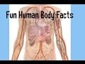 Human Body Facts and Trivia