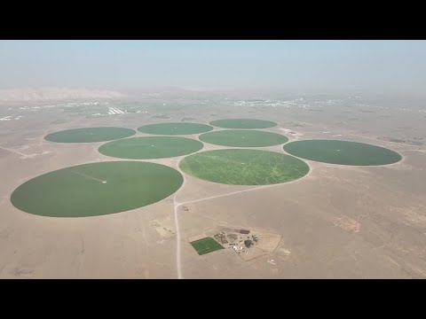YouTube video thumbnail: UAE Farms the Desert in Quest for Food Security