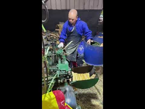 Satisfying Bamboo Crushing Live!