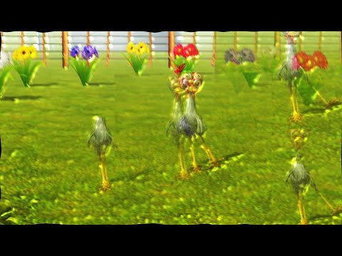 El Baile Del Pollito | El Pollito De La Granja | El Pollito Pio | The Little Chick Dance