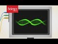 Gene Activity After Death