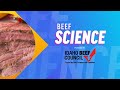 Beef Preparation and Grading Knowledge