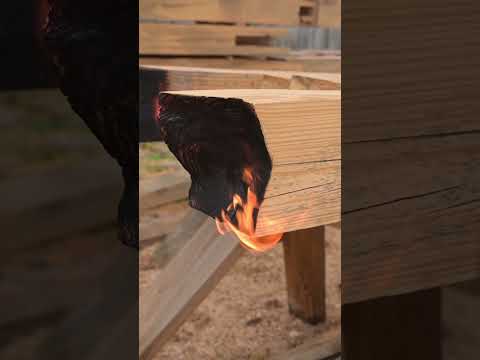 Why Old Timber Buildings Last So Long