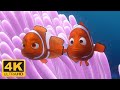 Marlin and Coral's Parenting Decisions