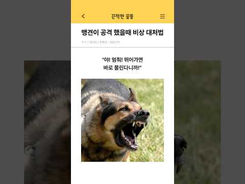 맹견이 공격했을때 비상 대처법