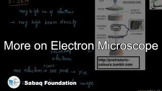 More on Electron Microscope