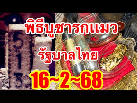 รัฐบาลไทย“พิธีบูชารกเเมว16/2/68”รับโชคตรงๆๆ3ตัว