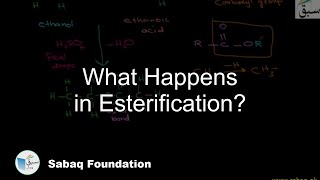What Happens in Esterification?