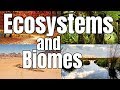 Exploring Ecosystems and Biomes for Kids