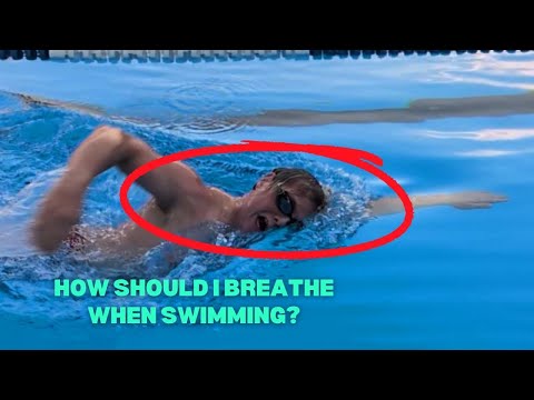 How do I have to breathe when swimming freestyle 🏊‍♂️? #swimming