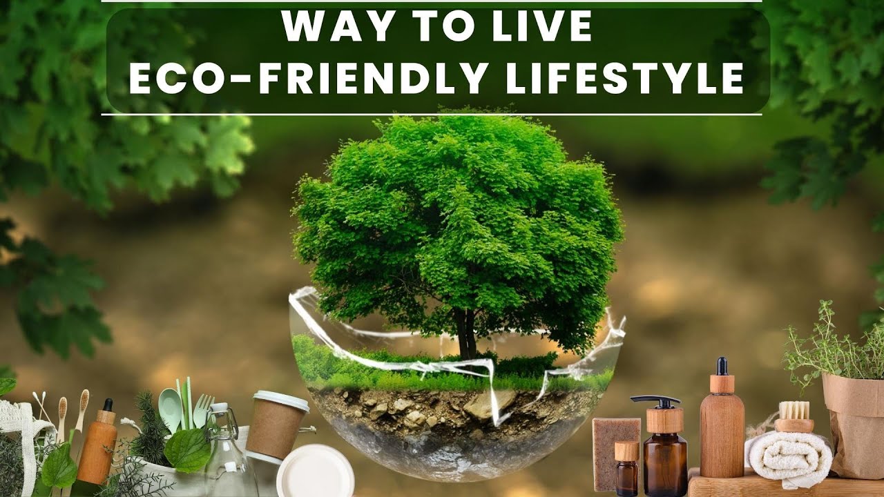 How to Live a More Eco Friendly Lifestyle