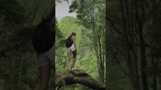 Bespoke Azores Trips by Local Experts | Azores Getaways