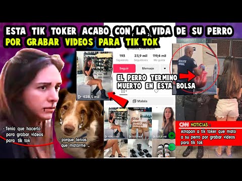 Esta TIK TOKER ACABO con la VIDA de SU PERRO por GRABAR VIDEOS para TIK TOK