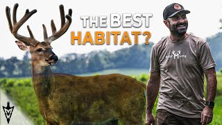 Mike’s Overlooked Secrets For Finding Big Bucks