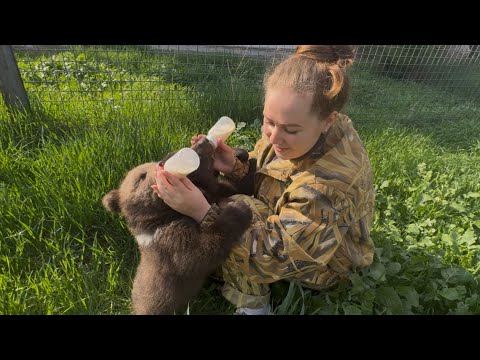 У наших мимимишек НОВЫЕ ВОЛЬЕРЫ и прогулочный, и закрытый! Алина просто мишкина мама)