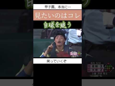 本当に見たいのはこういう甲子園。 #shorts #野球 #甲子園 #大谷翔平