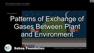 Patterns of Exchange of Gases Between plant and Environment
