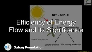 Efficiency of Energy Flow and its Significance