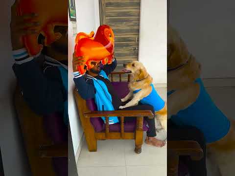 आज मेरे डॉग के घर में कौन सा नया जानवर आया और उसका क्या नाम था😱 #funnydogs #shorts