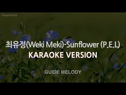 [짱가라오케/노래방] 최유정(Weki Meki)-Sunflower (P.E.L) (Melody) [ZZang KARAOKE]