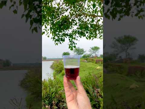 Survival Skills: SMART ideas and Useful in forest#survival #useful #ideas #smart #shorts#camping