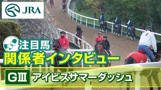 【注目馬 関係者インタビュー】2025年 アイビスサマーダッシュ｜JRA公式