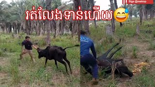Funny រត់លែងទាន់😅 #funny 