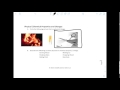 Chemical and Physical Changes in Matter