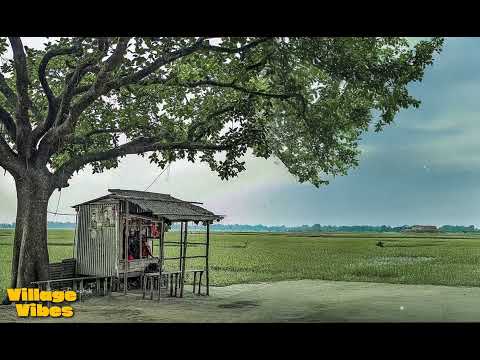 Village Vibes - (Official Song) Latest Punjabi Song 2024