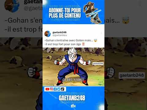 Gohan s'entraîne avec Goten