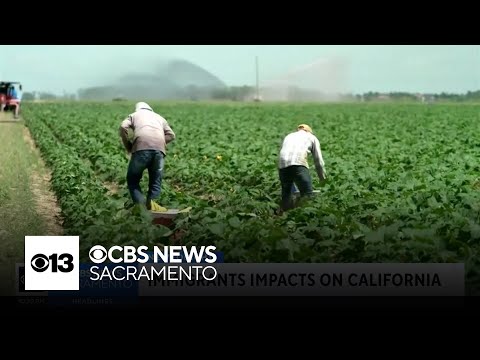 YouTube video thumbnail: UC Merced Study Examines How Deportations Could Impact California Economy