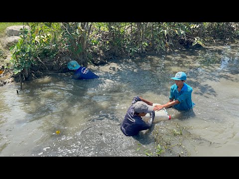 Về miền tây bắt cá nướng chim khìa nước dừa lai rai đậm chất miền tây P.2/NGÃ NĂM TV