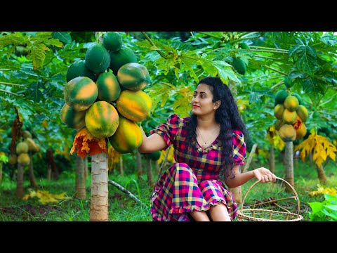 Papaya Recipes ๐ Juices Sweets and Warm Desserts for Rainy Days in My Sri Lankan Village Kitchen