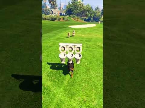 GTA 5 : Dog teach us love in its purest form Part - 62 ๐ซ๐ซ || #shorts #shortsviral #gta5 ||