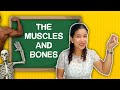 Human Body and Nutrition Concepts