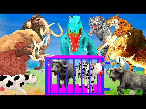 5 Cow Mammoth Elephant vs 5 Giant Tiger Wolf vs Monster Lion Attack Dinosaur Chase Baby Cow Buffalo